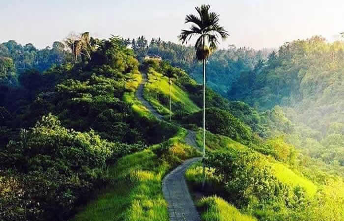 Term and Condition of Airport Bali Transfer provide Ngurah Rai Airport Denpasar (DPS) Bali pick-up or drop-off services, along with reliable inter-hotel shuttle to all destinations, private car or van rental with driver including Toyota Avanza 5-seater car, Toyota Innova 6-seater car, and Toyota Hiace 14-seater van.